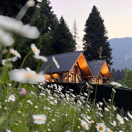 Solomons Gray Villa Tangmarg Eksteriør billede